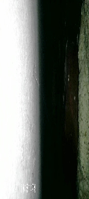 Endoskopaufnahme der Hohlschicht bei einem zweischaligem Mauerwerk