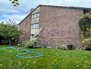 image10
